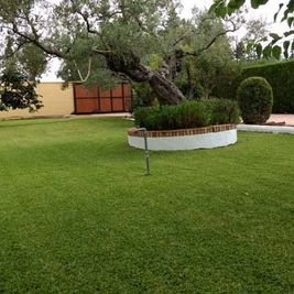 Jardinería Alfi jardín con césped