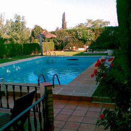 Jardinería Alfi piscina