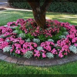 Jardinería Alfi flores